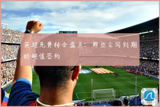 英超免费转会盘点:那些合同到期的超值签约