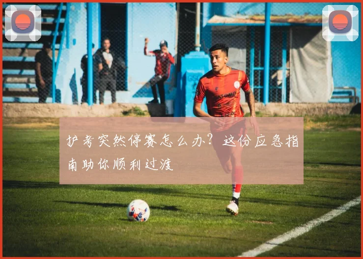 护考突然停赛怎么办？这份应急指南助你顺利过渡